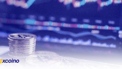 افزایش حجم خرید BTC با وجود ریزش اخیر بازار