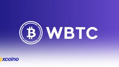 تایید امنیت رپد توکن توسط مدیرعامل BitGo