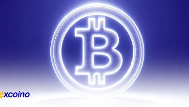 تعداد بیتکوینهای 12 ETF به تقریبا 1 میلیون رسید