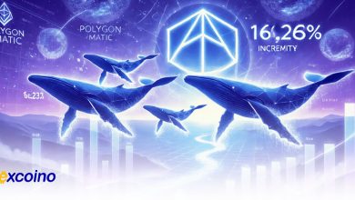 افزایش 16263 درصدی فعالیت نهنگهای پولیگان