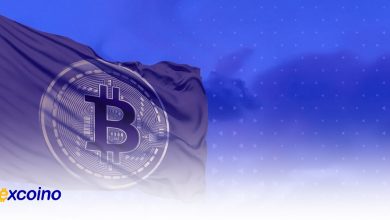 رشد 36 درصدی ارزش بازار کریپتو در سال 2024