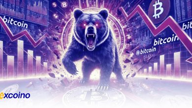 احتمال بازگشت BTC به ۶۱,۹۰۰ دلار برای تست مجدد سطح حمایت