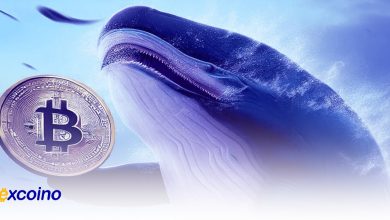 مهمترین سطوح قیمت بیتکوین بر اساس الگوی خرید نهنگها