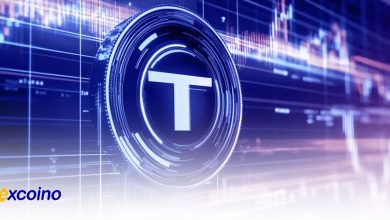 بلاکچین TON پس از قطعی شبکه فعالیت خود را از سر می گیرد