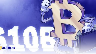 دارایی سرمایهگذاران بلندمدت بیتکوین از 10 میلیارد دلار فراتر رفت