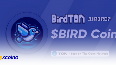 ایردراپ Birdton