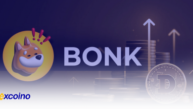 Introducing Bonk digital currency