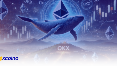 انتقال نزدیک به 50 هزار اتریوم توسط نهنگ اتریوم در 35 روز گذشته