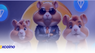 آیا شبکه TON میتواند ایردراپ تاریخی Hamster Kombat را مدیریت کند؟