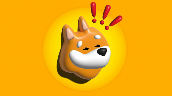 معرفی ارز دیجیتال Bonk