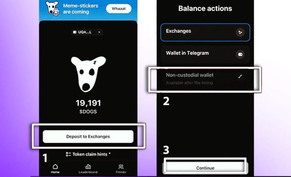 برداشت داگز