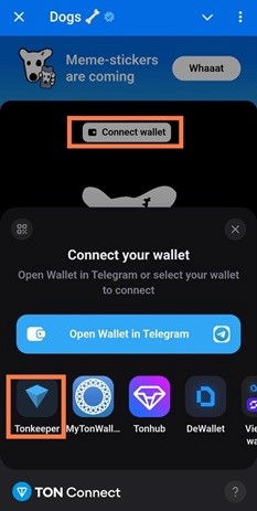 برداشت ارز داگز