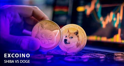 شیبا اینو و دوج کوین
