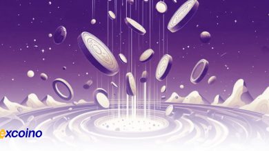 پیشبینی جهش آلتکوینها در سهماهه چهارم ۲۰۲۴ با کاهش دامیننس تتر
