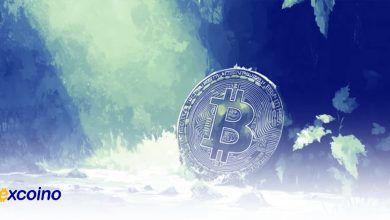 پیشبینی روند بازار در صورت پیروزی ترامپ یا کامالا هریس