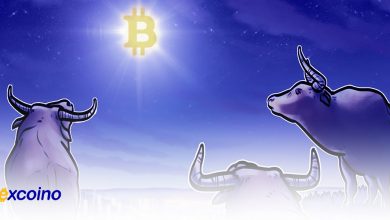 بزرگترین چرخه صعودی بیتکوین با کف قیمت ۴۵ هزار دلار در راه است