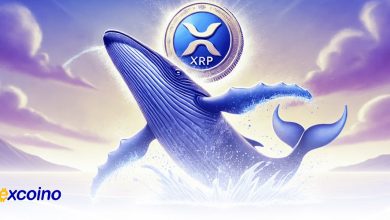 احتمال کاهش قیمت ریپل به ۰.۵ دلار