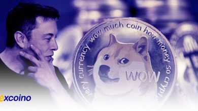 آیا با حمایت ایلان ماسک قیمت DOGE به 1 دلار میرسد؟