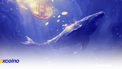 خرید 1062 بیتکوین توسط یک نهنگ