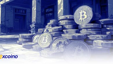 مایکل ون د پوپ: بیت‌کوین در این چرخه می‌تواند تا 890 درصد افزایش یابد