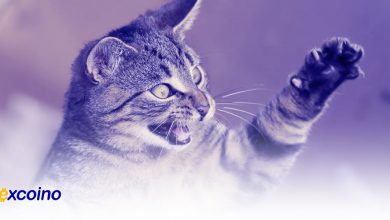 خشم بازیکنان Catizen از تغییرات ناگهانی در توزیع توکن
