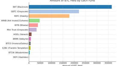 صندوقهای ETF بیتکوین آمریکا به دنبال پشت سر گذاشتن استیک بیتکوین ساتوشی!