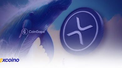 فعالیت والهای XRP بالا میرود؛ بازار به کدام سمت میرود؟