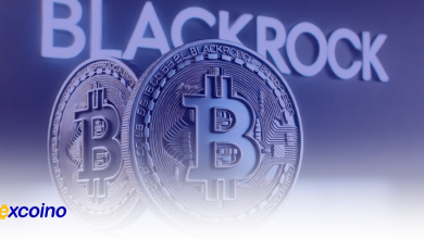 بلکراک با ۲۴ میلیارد دلار بیتکوین به مرز ۲٪ از کل عرضه نزدیک میشود!