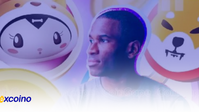 آرتور هیز همچنان در حال جمعآوری میمکوینها؛ چرا؟