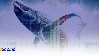 انتقال 110 میلیون دلاری تتر؛ استراتژی جدید و حرکتهای بزرگ مالی در راه است!