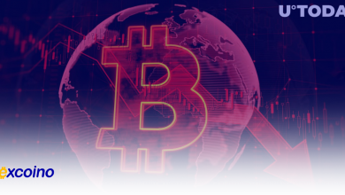 سقوط ۱۰ درصدی بیتکوین پس از پست عجیب مایکل سیلور