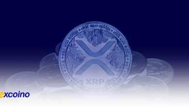 پنج دارنده بزرگ XRP که بازار را شکل میدهند؛ چه کسانی بیشترین قدرت را دارند؟