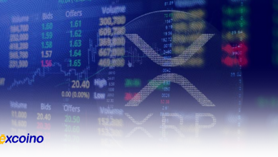 شرکت Ripple انتقال ۱۰۰ میلیون XRP به کیفپول ناشناس