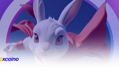 Rocky Rabbit release date