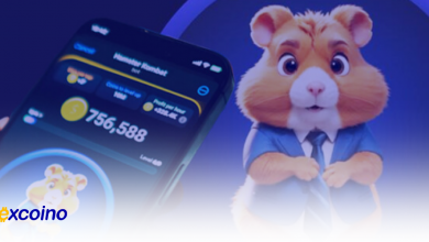 جشنواره بزرگ همسترینو اکسکوینو: ایردراپ ۵۰۰۰ دلاری و فرصتهای ویژه!