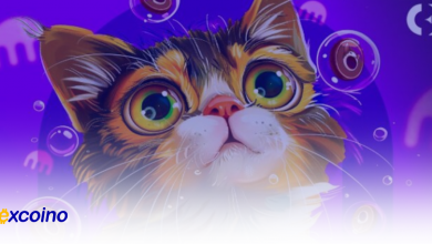 توکن CATI با ویژگیهای جدید در Catizens؛ معرفی بازی Air War و راهاندازی Merge Restaurant