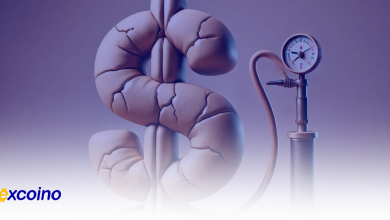 افزایش یک میلیارد دلاری بازار استیبلکوینها در 6 روز؛ رشد چشمگیر توکنهای اصلی