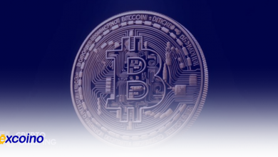 طلای دیجیتال (PAXG) و فیزیکی در سپتامبر اوج میزنند؛ بیتکوین و طلا در مسیر رشد