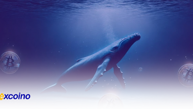 نقل و انتقال ۵ بیتکوین توسط نهنگ ۲۰۰۹؛ موجودی بیش از ۱۲۰۰ بیتکوین در کیف پول