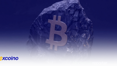 بلک راک در مسیر تصاحب بیتکوین! بیش از فروش ETFها بیتکوین جمع میکند!