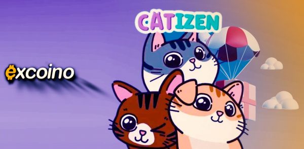 ایردراپ Catizen AI