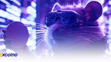 آموزش برداشت توکن همستر