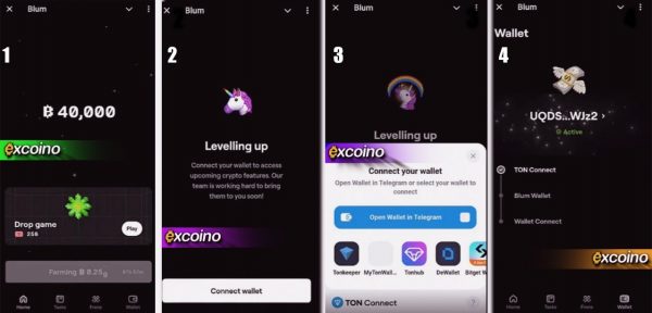مراحل اتصال بازی بلوم به کیف پول