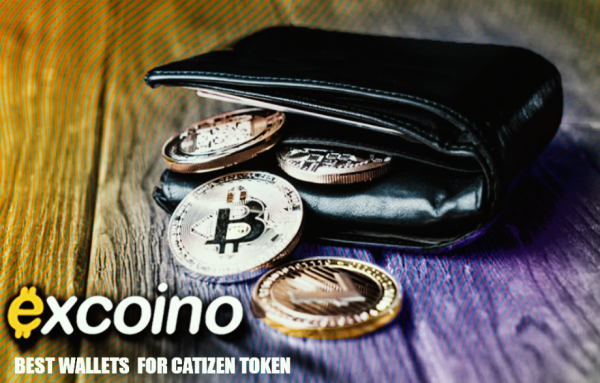 بهترین کیف پول های ارز کتیزن