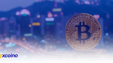 افزایش قیمت بیتکوین توجه «nocoiners» را جلب میکند، اما مالکیت همچنان ثابت است!