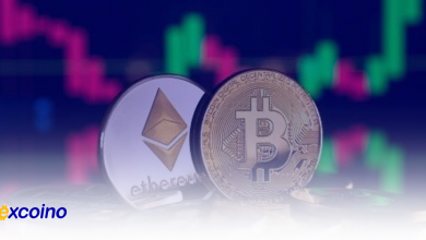 موج تصفیههای رمزارزها به 200 میلیون دلار رسید؛ فشار بازار بیتکوین!