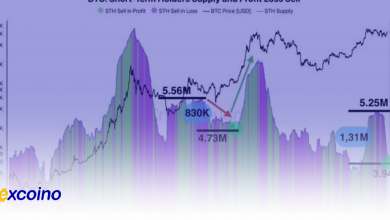 بیتکوین در اختیار هولدرهای کوتاهمدت به شدت کاهش یافته؛ نشانهای از اعتماد فزاینده؟