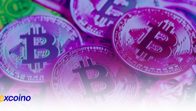 آیا نرخ بیکاری میتواند مانع رشد بیتکوین در سهماهه چهارم شود؟