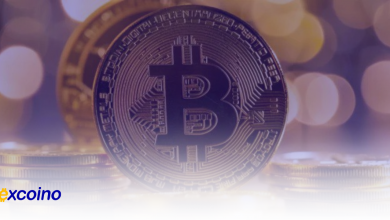 بیتکوین ممکن است در ماه اکتبر به 78 هزار دلار برسد؛ آیا الگوی تاریخی تکرار خواهد شد؟