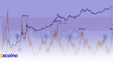 تحلیل Puell Multiple: نشانههایی از احتمال ثبت رکورد جدید بیتکوین